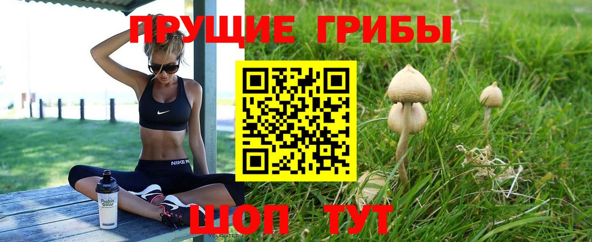 Псилоцибиновые грибы ЛСД Барнаул