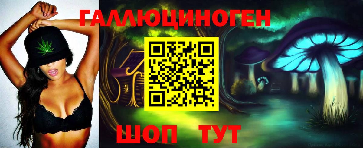 Барнаул  Псилоцибиновые грибы Cubensis  Вход с VPN 